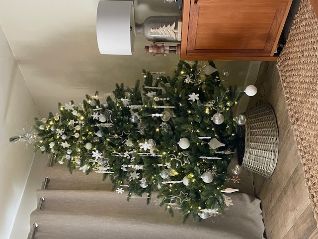For My Wife, Who Truly Owns the Tree (and Me) - Click here to view this entry