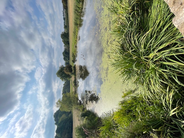 Reflections at Paulton Basin - Click here to view this entry